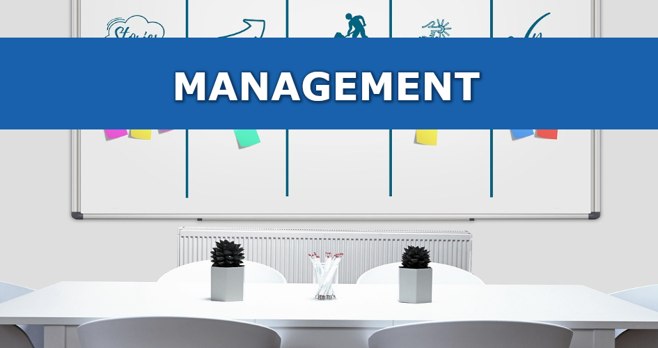 Master in Management
