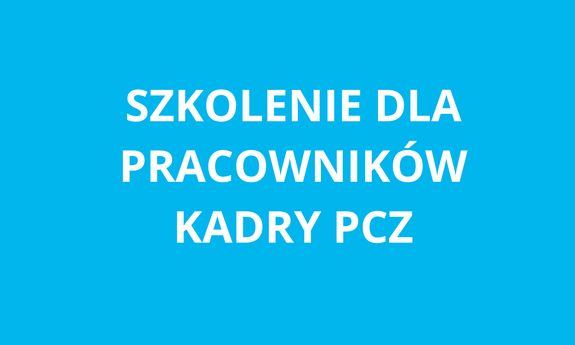 Szkolenie dla kadry Politechniki Częstochowskiej "Promowanie w internecie" (PL/EN)