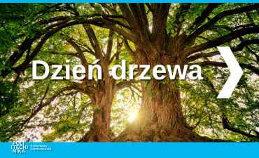 Dzień Drzewa 2025 – na Wydziale Infrastruktury i Środowiska (PL/EN)