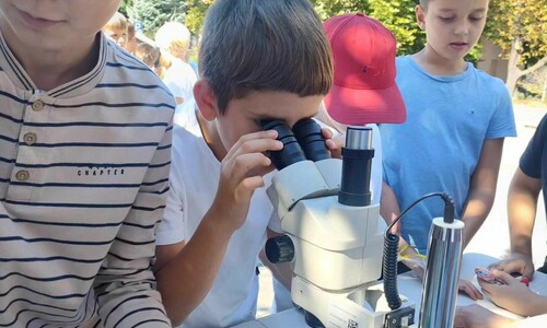 Dzieci odwiedzające stoisko, chłopiec patrzy przez mikroskop
