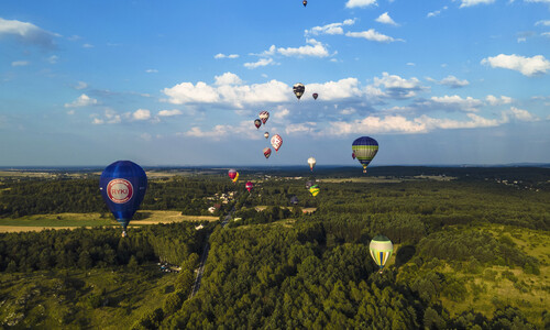 Widok na lecące balony na lasami w Olsztynie