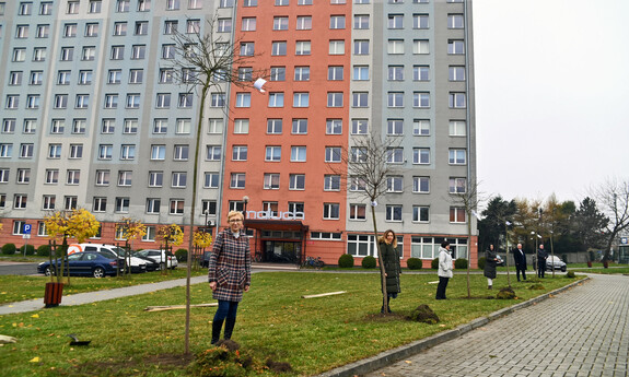 Sadzenie drzew na Politechnice Częstochowskiej