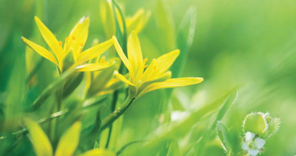 90. numer Pisma Środowiska Akademickiego